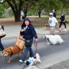 dog walk 2013-5095